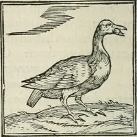 An illustration from Hieroglyphica, siue, De sacris Aegyptiorum literis commentarii, Ioannis Pierii Valeriani Bolzanii Bellunensis (1556)