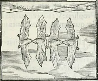 An illustration from Hieroglyphica, siue, De sacris Aegyptiorum literis commentarii, Ioannis Pierii Valeriani Bolzanii Bellunensis (1556)