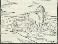 An illustration from Hieroglyphica, siue, De sacris Aegyptiorum literis commentarii, Ioannis Pierii Valeriani Bolzanii Bellunensis (1556)