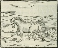 An illustration from Hieroglyphica, siue, De sacris Aegyptiorum literis commentarii, Ioannis Pierii Valeriani Bolzanii Bellunensis (1556)