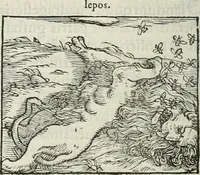 An illustration from Hieroglyphica, siue, De sacris Aegyptiorum literis commentarii, Ioannis Pierii Valeriani Bolzanii Bellunensis (1556)