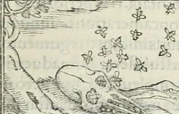 An illustration from Hieroglyphica, siue, De sacris Aegyptiorum literis commentarii, Ioannis Pierii Valeriani Bolzanii Bellunensis (1556)
