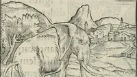 An illustration from Hieroglyphica, siue, De sacris Aegyptiorum literis commentarii, Ioannis Pierii Valeriani Bolzanii Bellunensis (1556)