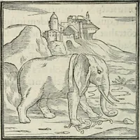 An illustration from Hieroglyphica, siue, De sacris Aegyptiorum literis commentarii, Ioannis Pierii Valeriani Bolzanii Bellunensis (1556)