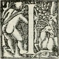 An illustration from Hieroglyphica, siue, De sacris Aegyptiorum literis commentarii, Ioannis Pierii Valeriani Bolzanii Bellunensis (1556)