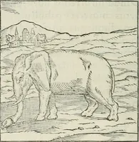 An illustration from Hieroglyphica, siue, De sacris Aegyptiorum literis commentarii, Ioannis Pierii Valeriani Bolzanii Bellunensis (1556)