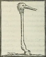 An illustration from Hieroglyphica, siue, De sacris Aegyptiorum literis commentarii, Ioannis Pierii Valeriani Bolzanii Bellunensis (1556)