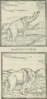 An illustration from Hieroglyphica, siue, De sacris Aegyptiorum literis commentarii, Ioannis Pierii Valeriani Bolzanii Bellunensis (1556)