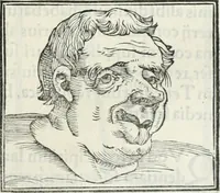An illustration from Hieroglyphica, siue, De sacris Aegyptiorum literis commentarii, Ioannis Pierii Valeriani Bolzanii Bellunensis (1556)