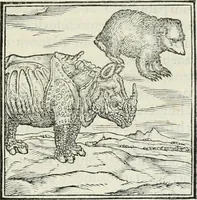 An illustration from Hieroglyphica, siue, De sacris Aegyptiorum literis commentarii, Ioannis Pierii Valeriani Bolzanii Bellunensis (1556)