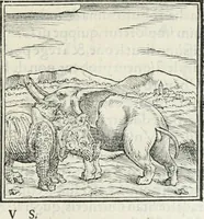 An illustration from Hieroglyphica, siue, De sacris Aegyptiorum literis commentarii, Ioannis Pierii Valeriani Bolzanii Bellunensis (1556)