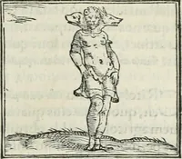 An illustration from Hieroglyphica, siue, De sacris Aegyptiorum literis commentarii, Ioannis Pierii Valeriani Bolzanii Bellunensis (1556)