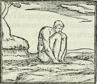An illustration from Hieroglyphica, siue, De sacris Aegyptiorum literis commentarii, Ioannis Pierii Valeriani Bolzanii Bellunensis (1556)
