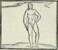 An illustration from Hieroglyphica, siue, De sacris Aegyptiorum literis commentarii, Ioannis Pierii Valeriani Bolzanii Bellunensis (1556)
