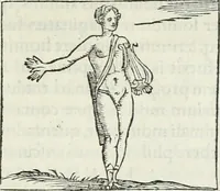 An illustration from Hieroglyphica, siue, De sacris Aegyptiorum literis commentarii, Ioannis Pierii Valeriani Bolzanii Bellunensis (1556)