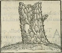 An illustration from Hieroglyphica, siue, De sacris Aegyptiorum literis commentarii, Ioannis Pierii Valeriani Bolzanii Bellunensis (1556)