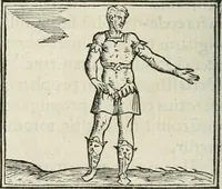 An illustration from Hieroglyphica, siue, De sacris Aegyptiorum literis commentarii, Ioannis Pierii Valeriani Bolzanii Bellunensis (1556)