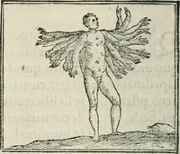 An illustration from Hieroglyphica, siue, De sacris Aegyptiorum literis commentarii, Ioannis Pierii Valeriani Bolzanii Bellunensis (1556)