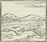 An illustration from Hieroglyphica, siue, De sacris Aegyptiorum literis commentarii, Ioannis Pierii Valeriani Bolzanii Bellunensis (1556)