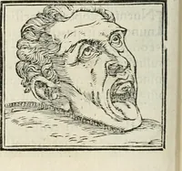 An illustration from Hieroglyphica, siue, De sacris Aegyptiorum literis commentarii, Ioannis Pierii Valeriani Bolzanii Bellunensis (1556)