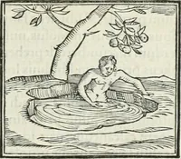 An illustration from Hieroglyphica, siue, De sacris Aegyptiorum literis commentarii, Ioannis Pierii Valeriani Bolzanii Bellunensis (1556)