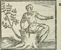 An illustration from Hieroglyphica, siue, De sacris Aegyptiorum literis commentarii, Ioannis Pierii Valeriani Bolzanii Bellunensis (1556)