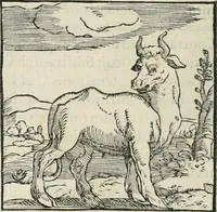 An illustration from Hieroglyphica, siue, De sacris Aegyptiorum literis commentarii, Ioannis Pierii Valeriani Bolzanii Bellunensis (1556)