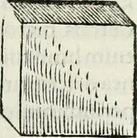 An illustration from Hieroglyphica, siue, De sacris Aegyptiorum literis commentarii, Ioannis Pierii Valeriani Bolzanii Bellunensis (1556)