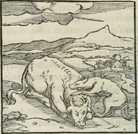 An illustration from Hieroglyphica, siue, De sacris Aegyptiorum literis commentarii, Ioannis Pierii Valeriani Bolzanii Bellunensis (1556)