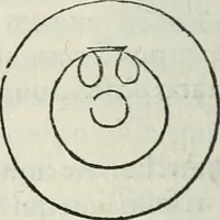 An illustration from Hieroglyphica, siue, De sacris Aegyptiorum literis commentarii, Ioannis Pierii Valeriani Bolzanii Bellunensis (1556)
