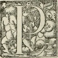 An illustration from Hieroglyphica, siue, De sacris Aegyptiorum literis commentarii, Ioannis Pierii Valeriani Bolzanii Bellunensis (1556)