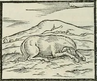 An illustration from Hieroglyphica, siue, De sacris Aegyptiorum literis commentarii, Ioannis Pierii Valeriani Bolzanii Bellunensis (1556)