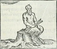 An illustration from Hieroglyphica, siue, De sacris Aegyptiorum literis commentarii, Ioannis Pierii Valeriani Bolzanii Bellunensis (1556)