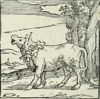 An illustration from Hieroglyphica, siue, De sacris Aegyptiorum literis commentarii, Ioannis Pierii Valeriani Bolzanii Bellunensis (1556)