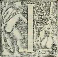An illustration from Hieroglyphica, siue, De sacris Aegyptiorum literis commentarii, Ioannis Pierii Valeriani Bolzanii Bellunensis (1556)