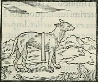 An illustration from Hieroglyphica, siue, De sacris Aegyptiorum literis commentarii, Ioannis Pierii Valeriani Bolzanii Bellunensis (1556)