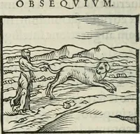 An illustration from Hieroglyphica, siue, De sacris Aegyptiorum literis commentarii, Ioannis Pierii Valeriani Bolzanii Bellunensis (1556)