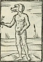 An illustration from Hieroglyphica, siue, De sacris Aegyptiorum literis commentarii, Ioannis Pierii Valeriani Bolzanii Bellunensis (1556)
