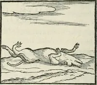 An illustration from Hieroglyphica, siue, De sacris Aegyptiorum literis commentarii, Ioannis Pierii Valeriani Bolzanii Bellunensis (1556)