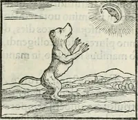 An illustration from Hieroglyphica, siue, De sacris Aegyptiorum literis commentarii, Ioannis Pierii Valeriani Bolzanii Bellunensis (1556)