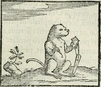 An illustration from Hieroglyphica, siue, De sacris Aegyptiorum literis commentarii, Ioannis Pierii Valeriani Bolzanii Bellunensis (1556)