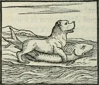 An illustration from Hieroglyphica, siue, De sacris Aegyptiorum literis commentarii, Ioannis Pierii Valeriani Bolzanii Bellunensis (1556)