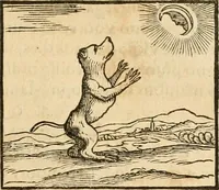 An illustration from Hieroglyphica, sive, De sacris Aegyptiorvm aliarvmqve gentivm literis commentarij (1575)