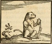 An illustration from Hieroglyphica, sive, De sacris Aegyptiorvm aliarvmqve gentivm literis commentarij (1575)