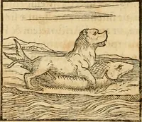An illustration from Hieroglyphica, sive, De sacris Aegyptiorvm aliarvmqve gentivm literis commentarij (1575)