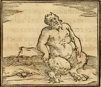 An illustration from Hieroglyphica, sive, De sacris Aegyptiorvm aliarvmqve gentivm literis commentarij (1575)