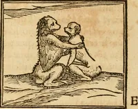 An illustration from Hieroglyphica, sive, De sacris Aegyptiorvm aliarvmqve gentivm literis commentarij (1575)