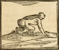 Picture 60 of 390 from Hieroglyphica, sive, De sacris Aegyptiorvm aliarvmqve gentivm literis commentarij (1575), leaf 108
