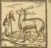 Picture 63 of 390 from Hieroglyphica, sive, De sacris Aegyptiorvm aliarvmqve gentivm literis commentarij (1575), leaf 111