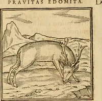 An illustration from Hieroglyphica, sive, De sacris Aegyptiorvm aliarvmqve gentivm literis commentarij (1575)